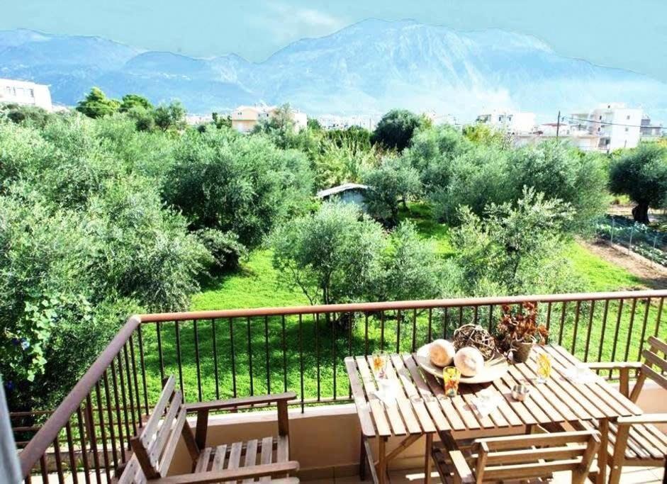 Amalia'S Serendipity - City Lights & Mountain Vistas Kalamata Eksteriør billede